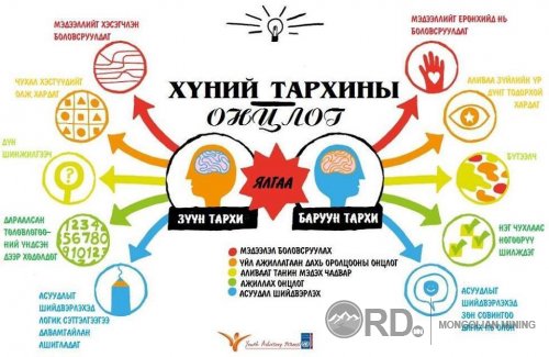 Хүний тархины онцлог