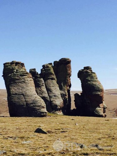 Сонирхолтой байгалийн талаарх фото мэдээлэл 