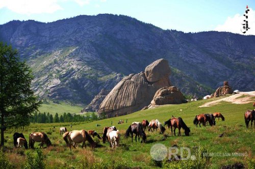 Сонирхолтой байгалийн талаарх фото мэдээлэл 