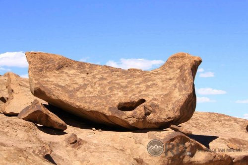 Сонирхолтой байгалийн талаарх фото мэдээлэл 