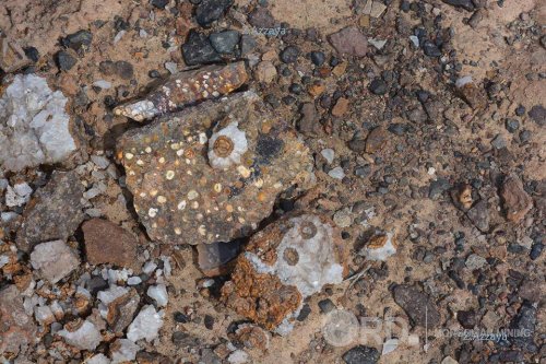 Сонирхолтой байгалийн талаарх фото мэдээлэл 