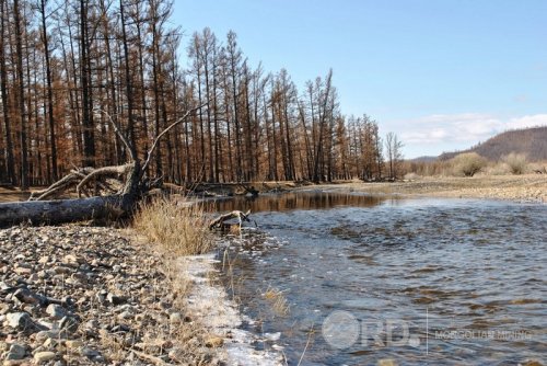Ойрын хоногуудад нутгийн өмнөд хэсгээр хур тунадас орж, ихэнх нутгаар сэрүүхэн байна