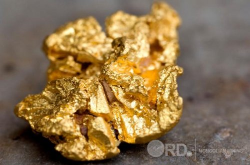 Бичил уурхайчид энэ онд Монголбанкинд 8,8 тонн алт тушаажээ