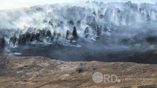 Харуулын ажилтан гал алдсанаас түймэр гарчээ