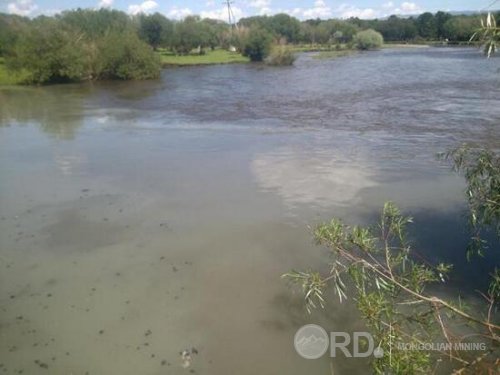 Туулыг эрүүл мэндэд аюултай голоор нэрлэжээ