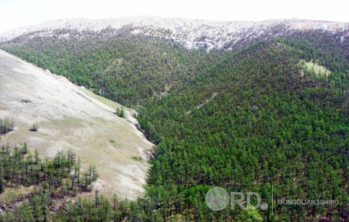 Ноён уулын шүүх хурал 27-ыг хүртэл хойшлов