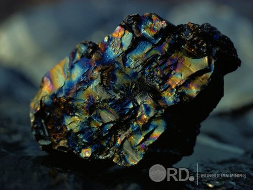 НҮҮРСНИЙ ЭКСПОРТ 31.2 САЯ АМ. ДОЛЛАРООР БУУРЧЭЭ