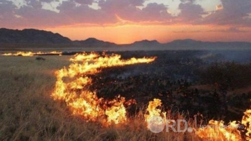 Хөвсгөл аймгийн Эрдэнэбулган суманд гарсан түймрийн голомтод 168 хүн ажиллаж байна