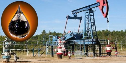 Алтан-Овооны тахилгын үеэр хятад ажилчид оруулж иржээ