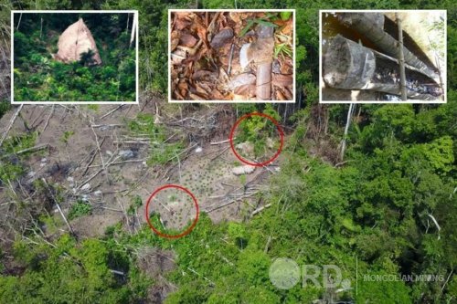 Амозоны ширэнгэн ойгоос шинэ омог илрүүлжээ