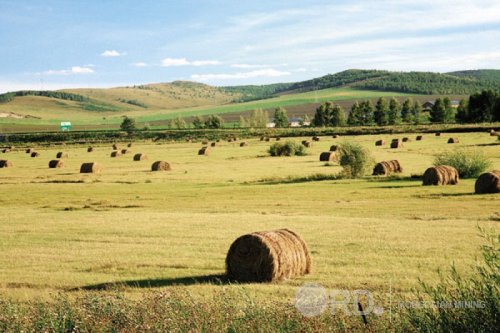Улсын хэмжээнд 1 сая тонноос дээш хадлан бэлтгэх боломжтой гэж үзэж байна