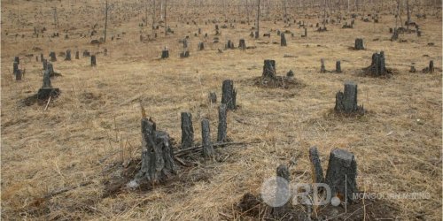 Дэлхий үүсээд 46 жил болсон гэж үзвэл бид сүүлийн 15-хан секундэд юу хийснээ хараач