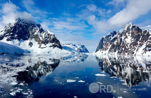 Антарктидаас шинэ амьд биет илрүүлжээ