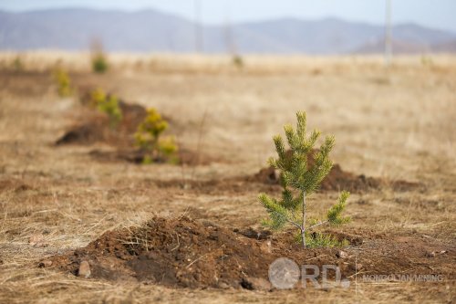 Тэрбум мод тарих амлалт ба бодит хүлээс